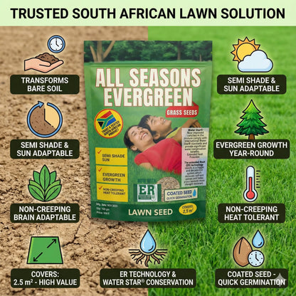 All Seasons Evergreen Grass Seeds | Fast Germination | Year-Round Beautiful Green Lawn