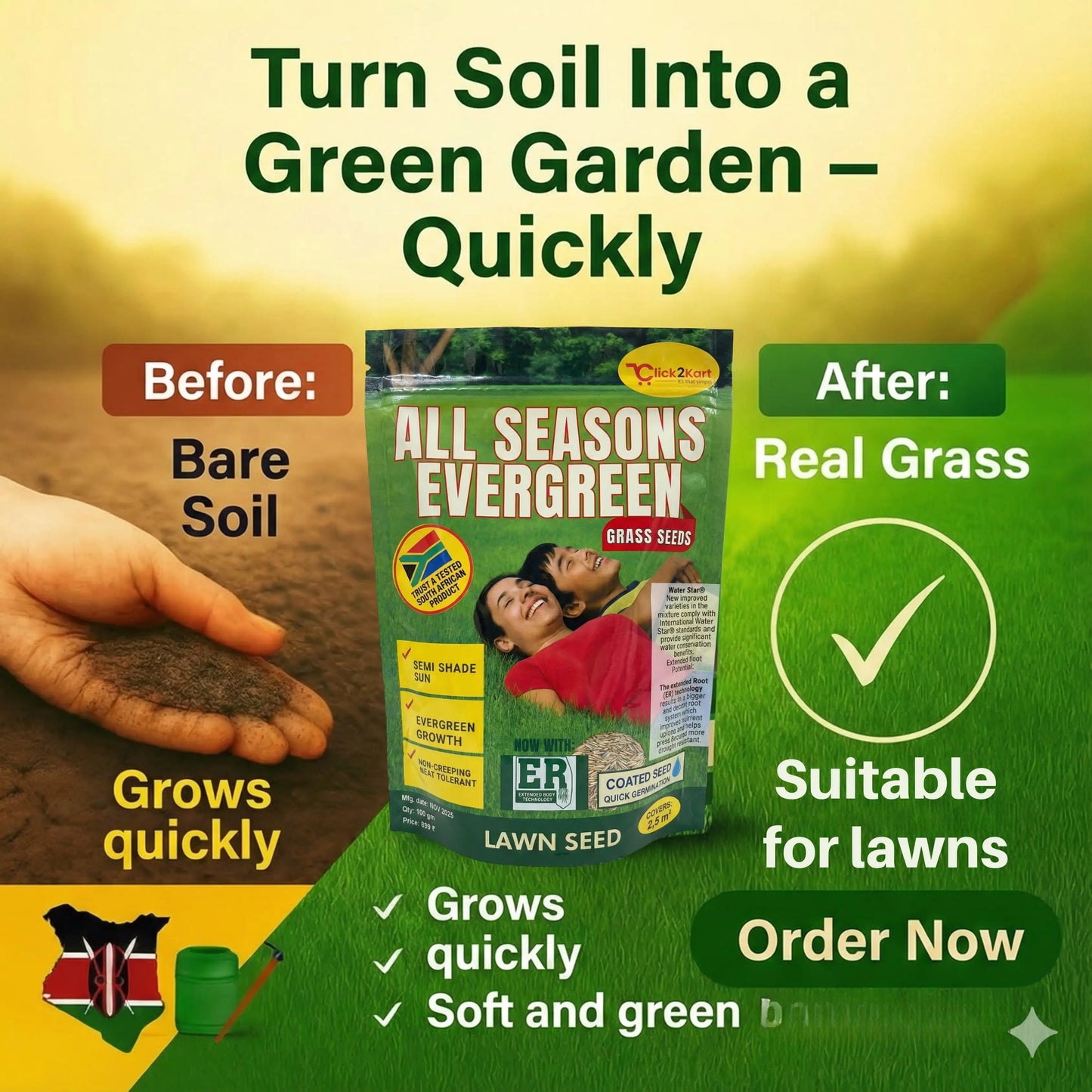 All Seasons Evergreen Grass Seeds | Fast Germination | Year-Round Beautiful Green Lawn