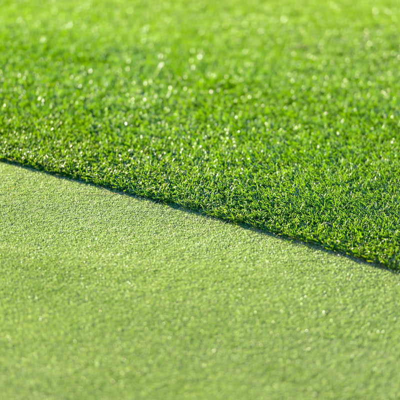 All Seasons Evergreen Grass Seeds | Fast Germination | Year-Round Beautiful Green Lawn