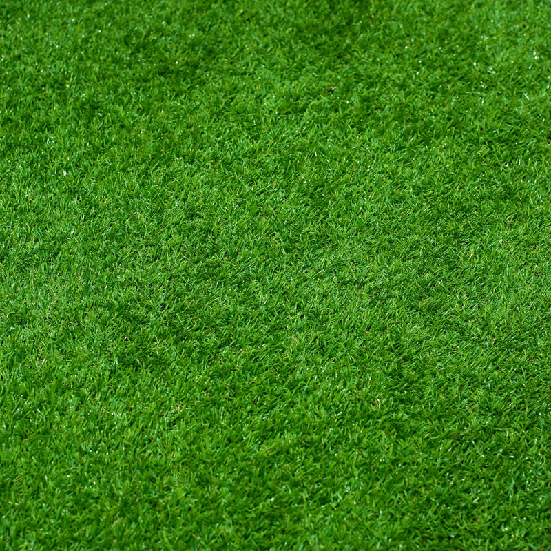 All Seasons Evergreen Grass Seeds | Fast Germination | Year-Round Beautiful Green Lawn
