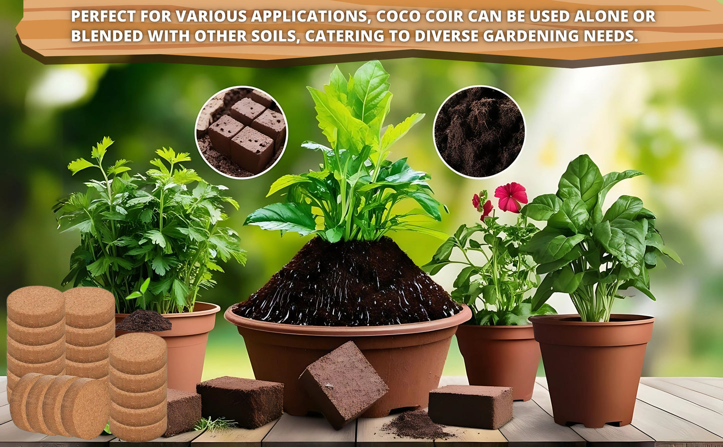 Organic Coconut Coir for Plants – Eco-Friendly Growing Medium for Healthy Plant Growth