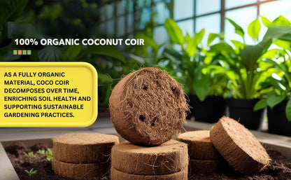 Organic Coconut Coir for Plants – Eco-Friendly Growing Medium for Healthy Plant Growth