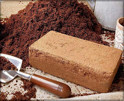 Organic Coconut Coir for Plants – Eco-Friendly Growing Medium for Healthy Plant Growth