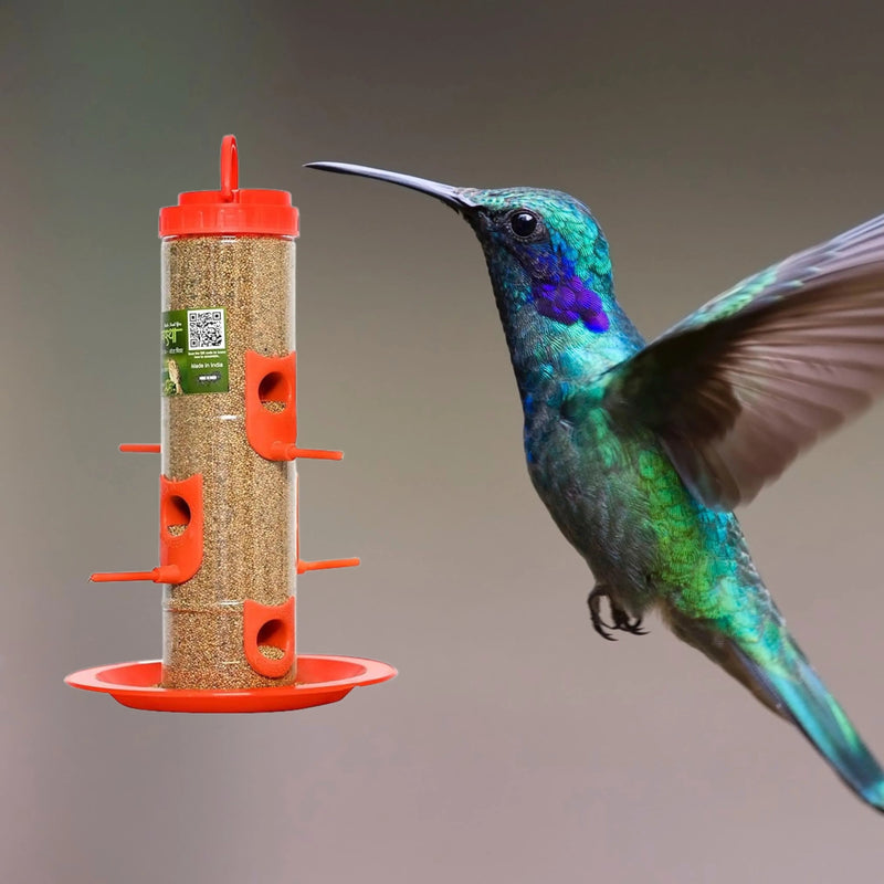 Durable Hanging Bird Feeder for Outdoor Use – Attracts Wild Birds